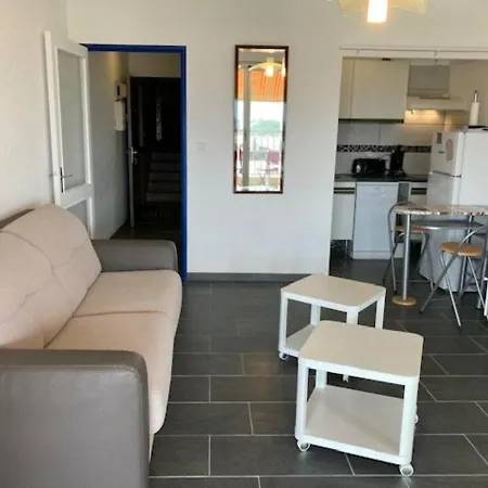 Appartement Studio Le Lavandou, Studio Flat, 2 Persons - Fr-1-308-71
